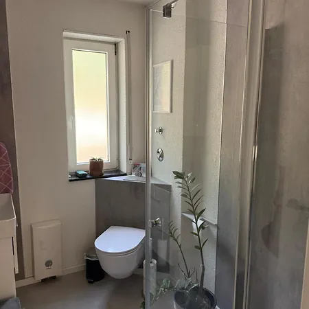 Modernes Im Sueden Von Mit Blick Ins Gruene Und Auf Fluss *